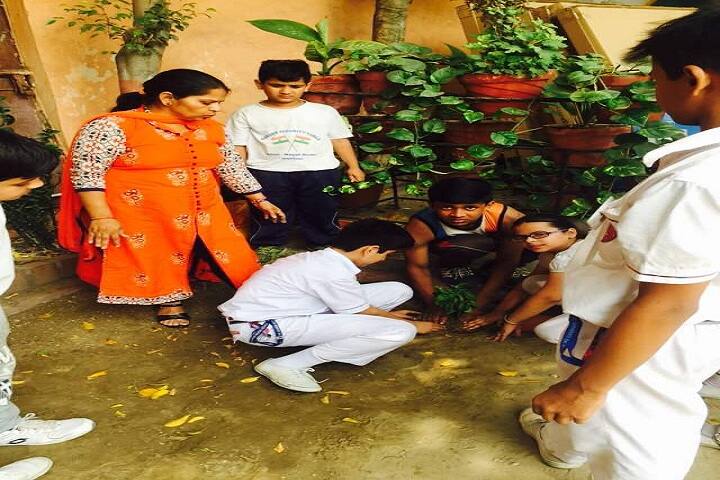 MHDC Saraswati Bal Mandir-Plantation