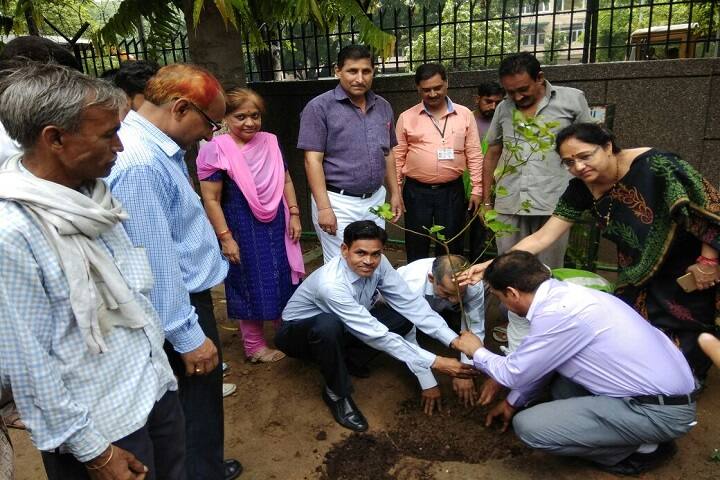 N P Coeducation Senior Secondary School-Green Day