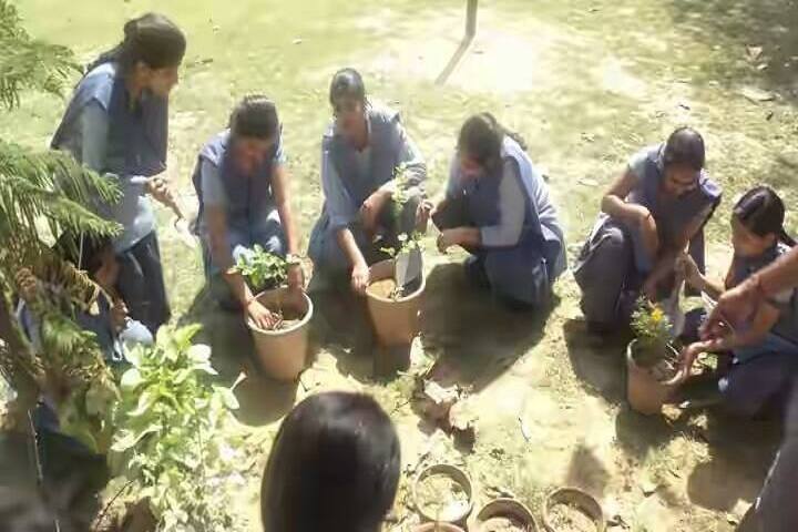 Nav Uday Convent Public School-Tree-Plantation