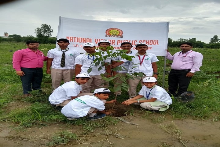 New Holy Public School-Tree-Plantation