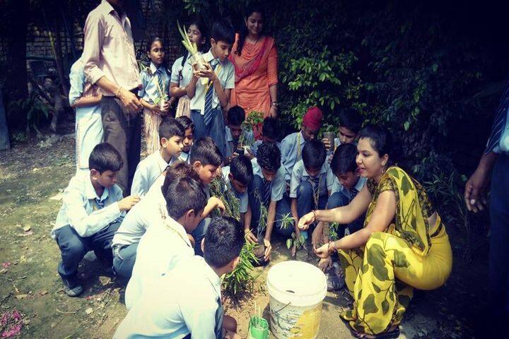 R D International School-Plantation