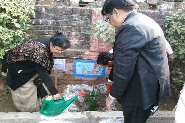Rajkiya Pratibha Vikas Vidyalaya-Plantation