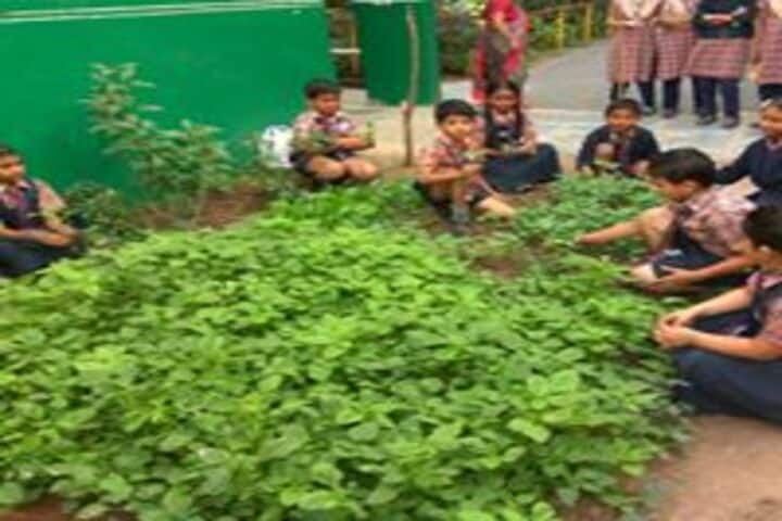 Vignan High School-Plantation