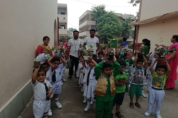 Rao Mohar Singh Memorial Pub School-Plantation
