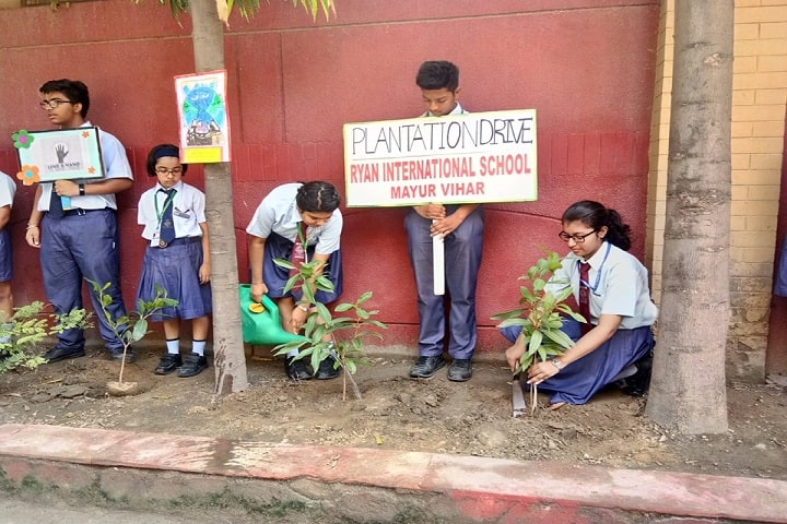 Ryan International School-Trees Plantation