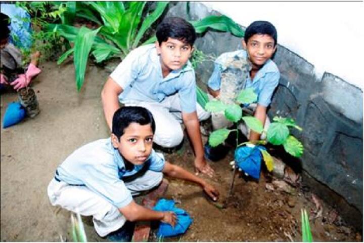 Salwan Public School-Plantation