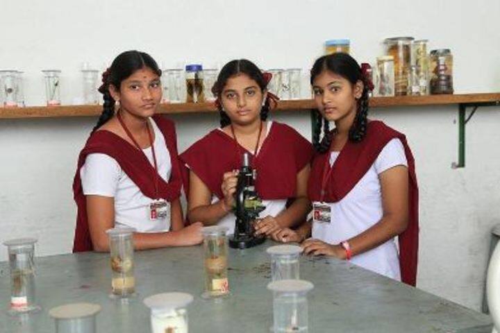 Viswasanti English Medium High School, Vuyyuru, Vijayawada: Admission ...