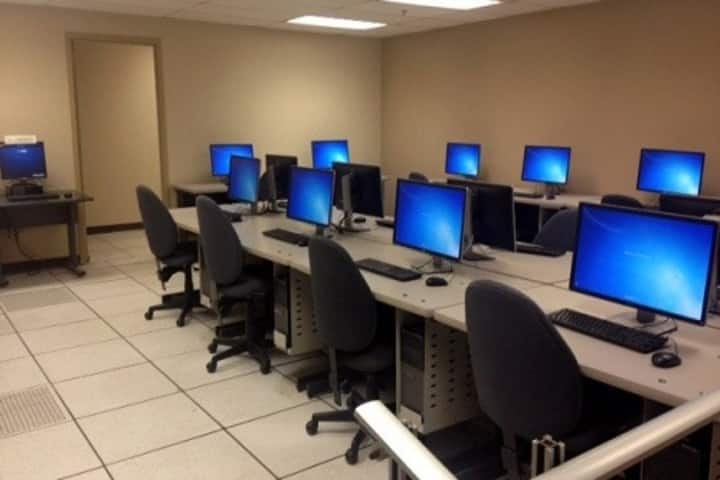 Bunnys Fantasy World School-IT Lab