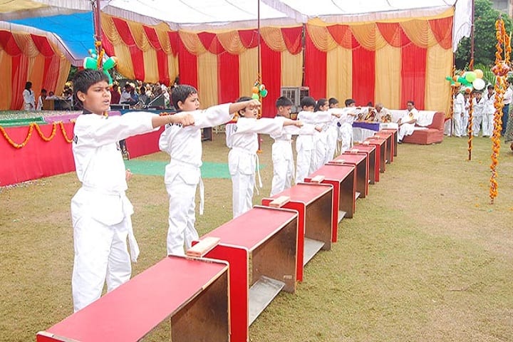 Vanasthali Public School-Karate