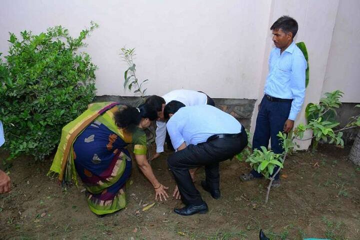 Vikas Bharti Public School-Plantation