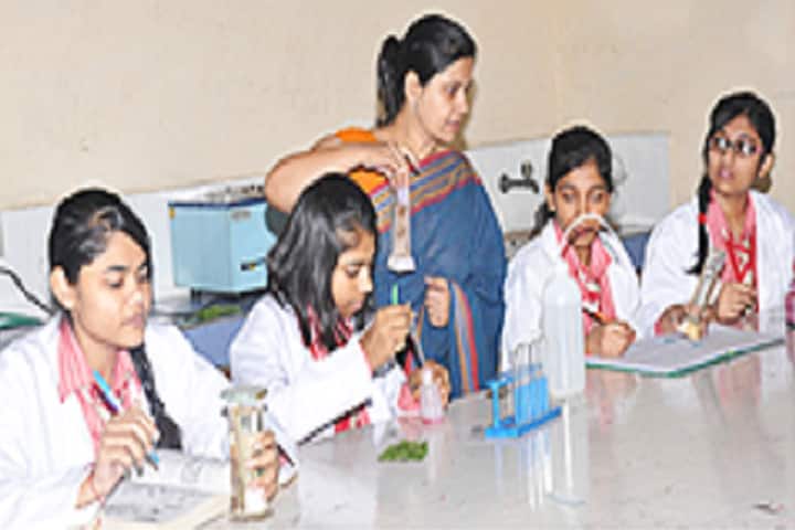 Vishal Bharti Public School-Chemistry Lab