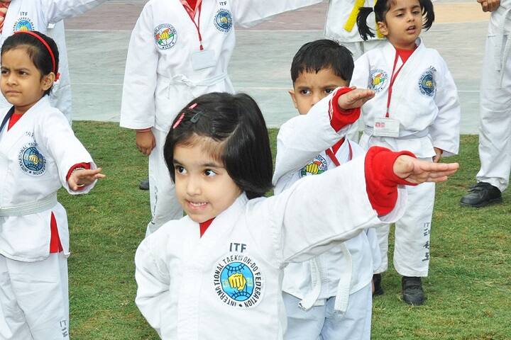 Vishal Bharti Public School-Karate