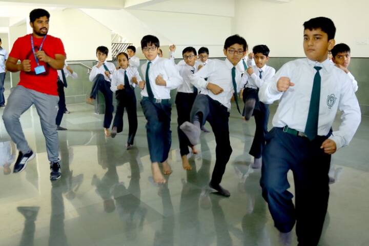 Delhi Public School-karate classes