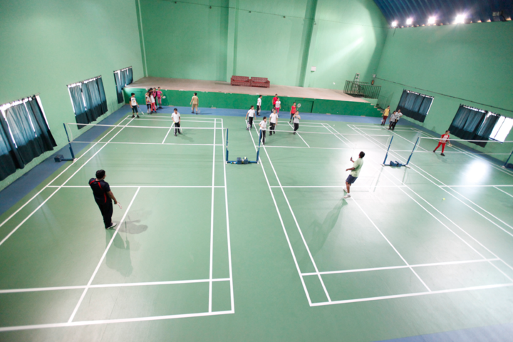 Delhi Public School-Indoor games