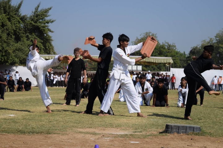 Delhi Public School-karate
