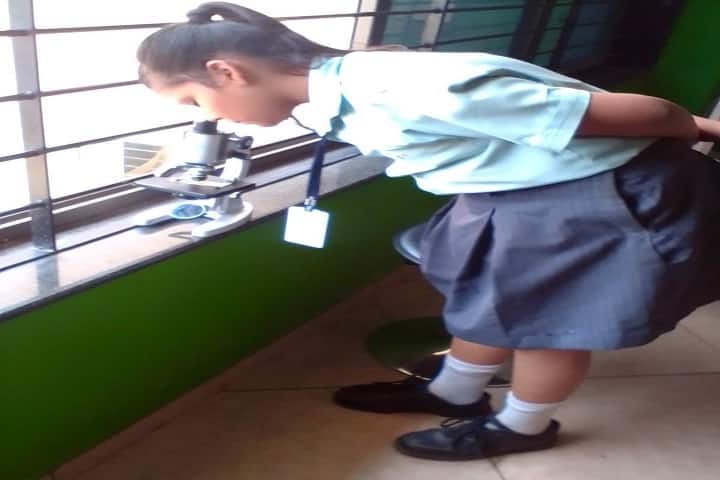 Global Discovery School-Biology Subject Activity
