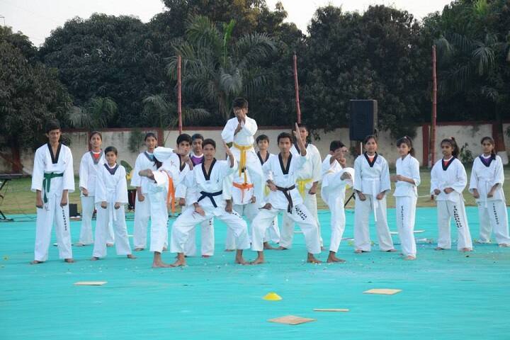 Global Indian International Schools-Karate