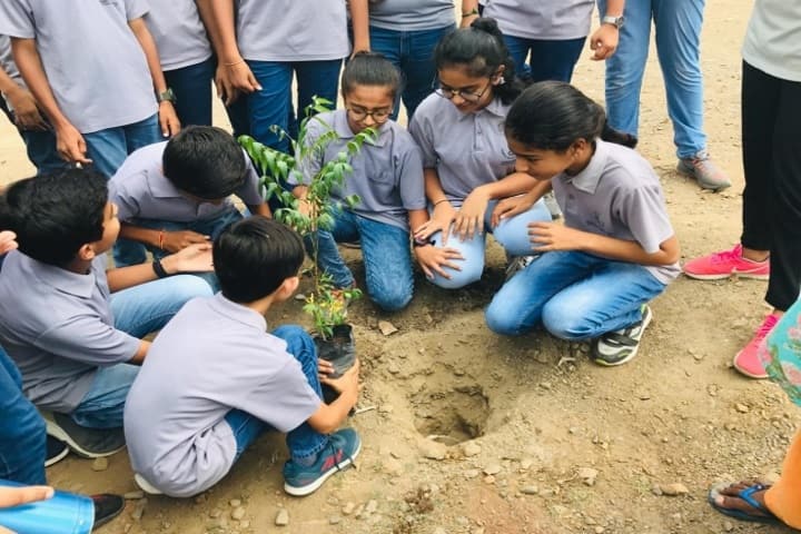 Greenwood School-Tree Plantation
