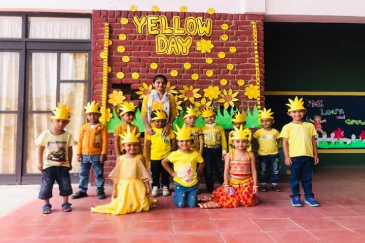 Greenwood School-Yellow Day Celebration