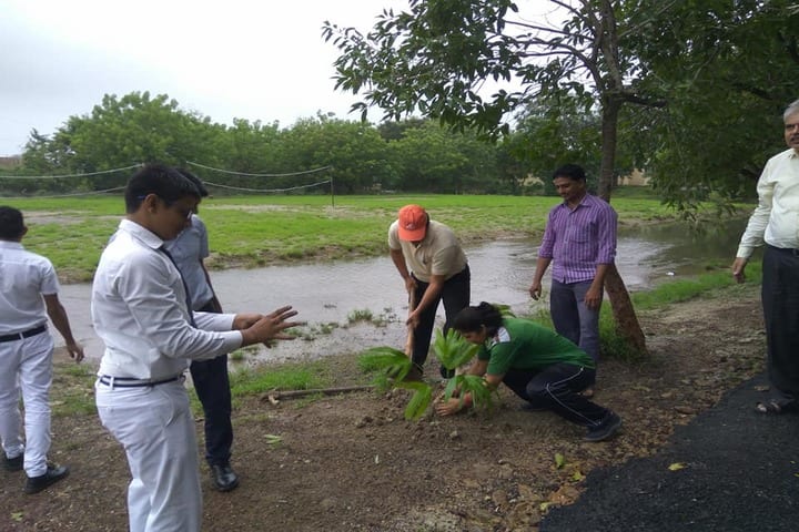 Jawahar Navodaya Vidayalaya-Tree Plantation