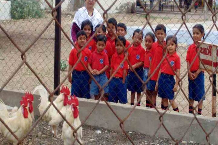 Kakubhai Parikh school-Preprimary Picnic