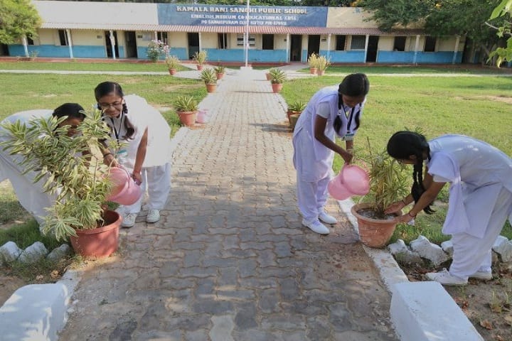 Kamala Rani Sanghi Public School-Tree Plantation