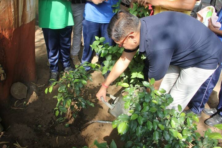 Kendriya Vidyalaya No 2-Tree Plantation