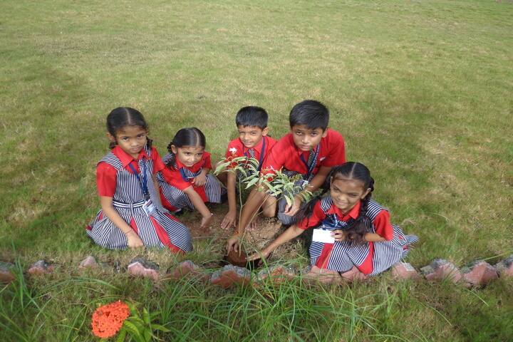 P. V. Lakhani English Medium School BilimoraAddress, Admission, Phone Number, Fees, Reviews