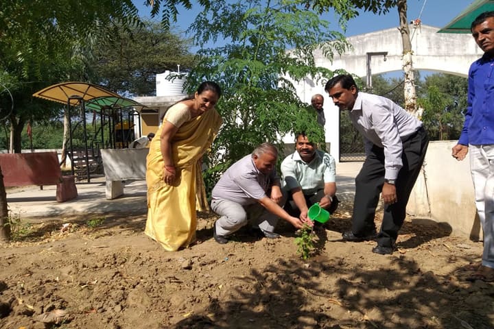 P.M.English Medium School-Tree Plantation