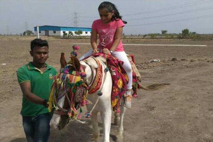 School Of Excellence-Horse Riding
