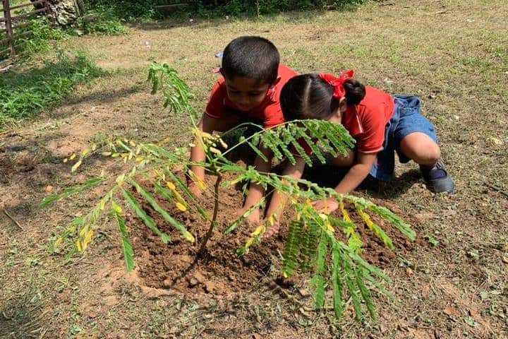 Shanti Asiatic School-Tree Plantation