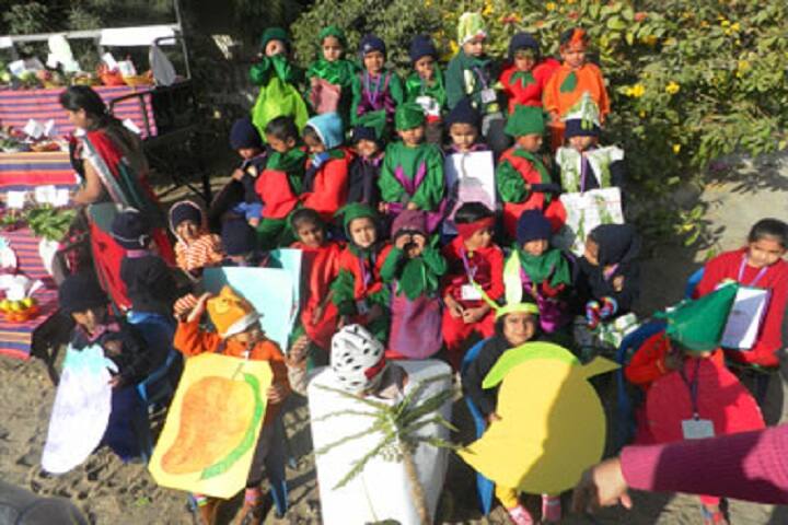 Shree Swaminarayan Vidyalay-Activity