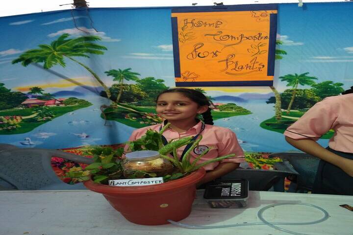 Shree Swaminarayan Vidyaveli Gyan Kendra English Medium School-Gyan Expo