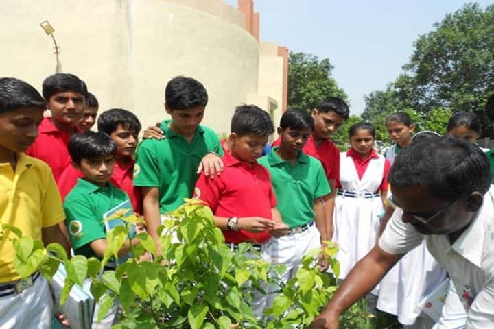 Smt. Bhadraben Butala Kalrav Academy For National Education-Tree Plantation