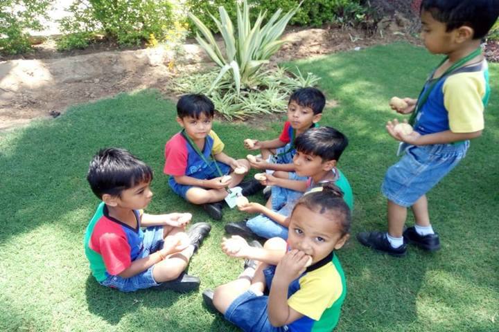 Vibrant International Academy-Activity