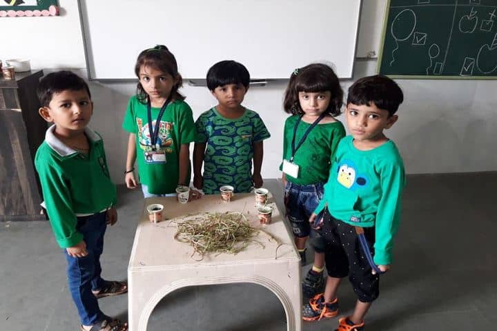 Vision International School Of Excellence-Environment Day