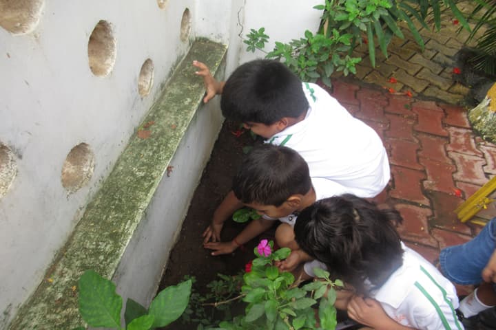 Vrajbhoomi International School-Tree Plantation