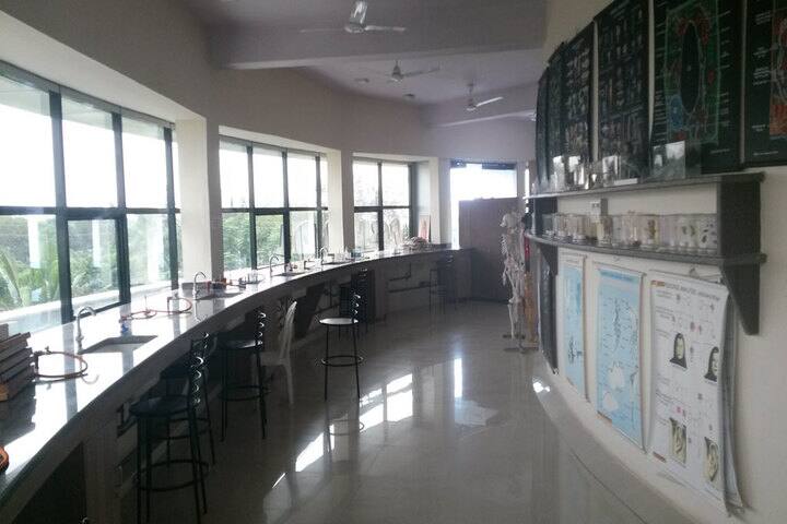 Zen School-Library