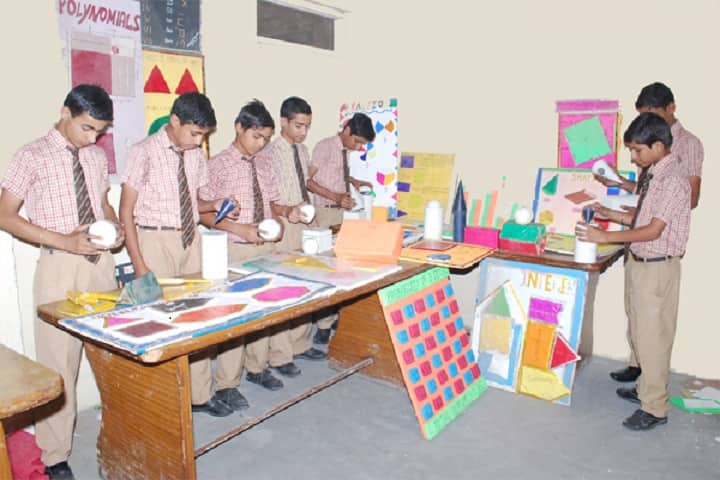 Anand Public School-Activity