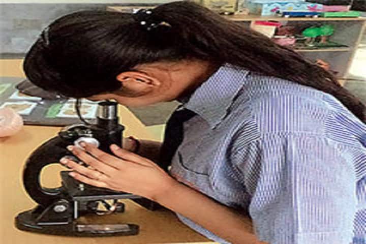 Apeejay Svran Global School-Lab