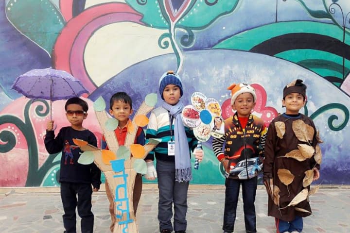 Apeejay Svran Global School-Fancy Dress