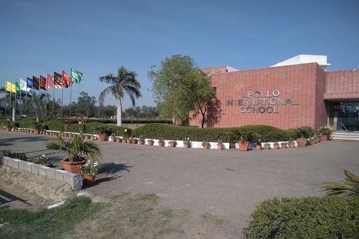 Apollo International School-School Building