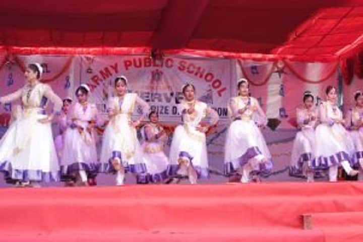 Army Public School-Cultural Program