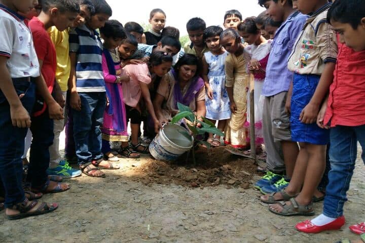 Arya Senior Secondary School-Tree Plantation