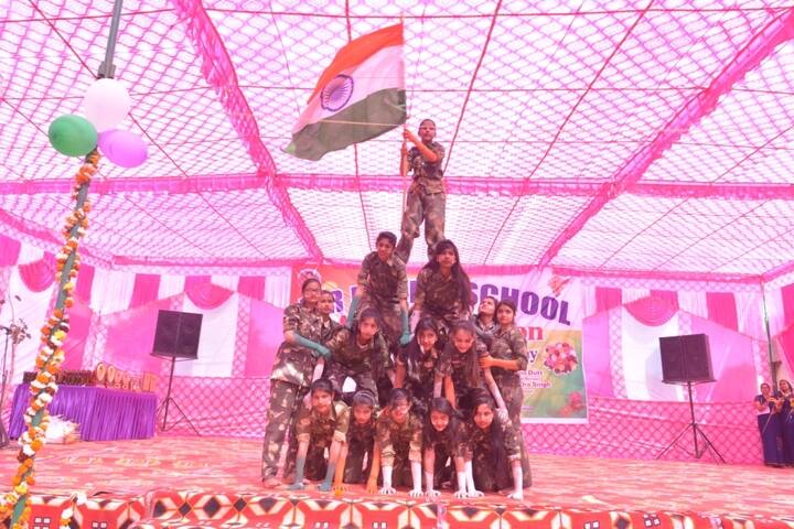 B R Public School-Human Pyramid