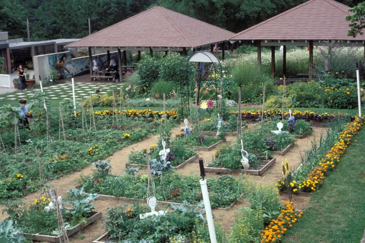 Baba Banda Bahadur Public School- Botanical Garden