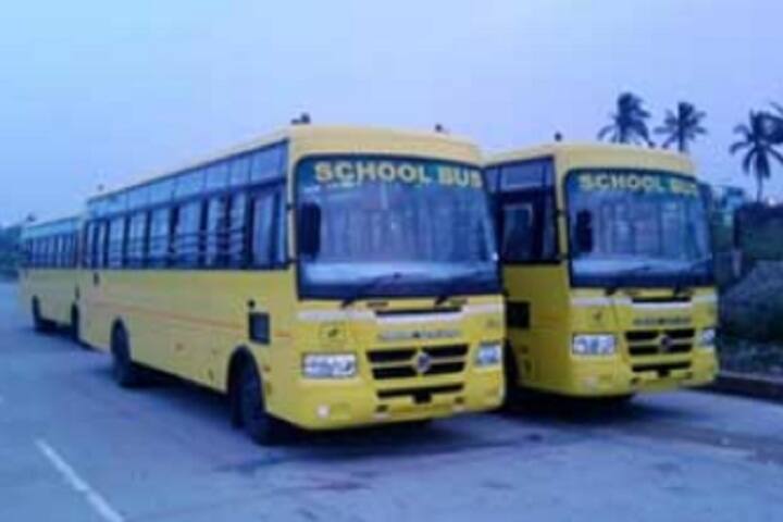 Bansi Vidya Niketan Senior Secondary School-Transport
