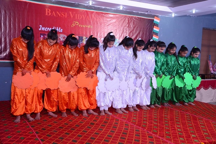 Bansi Vidya Niketan Senior Secondary School-Independence Day