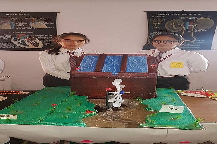 Bhiwani Public School-Exhibition