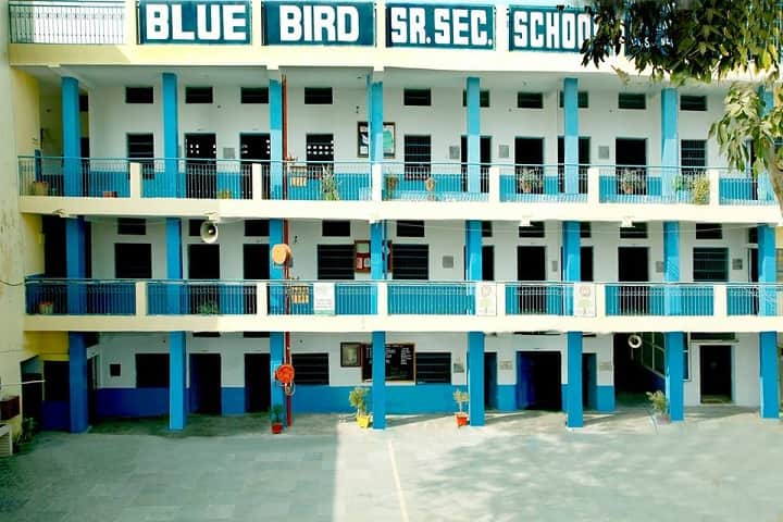 Blue Bird Senior Secondary School- campus